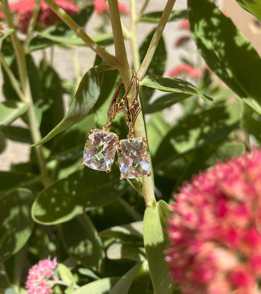 14K Yellow Gold & Goshenite Earrings